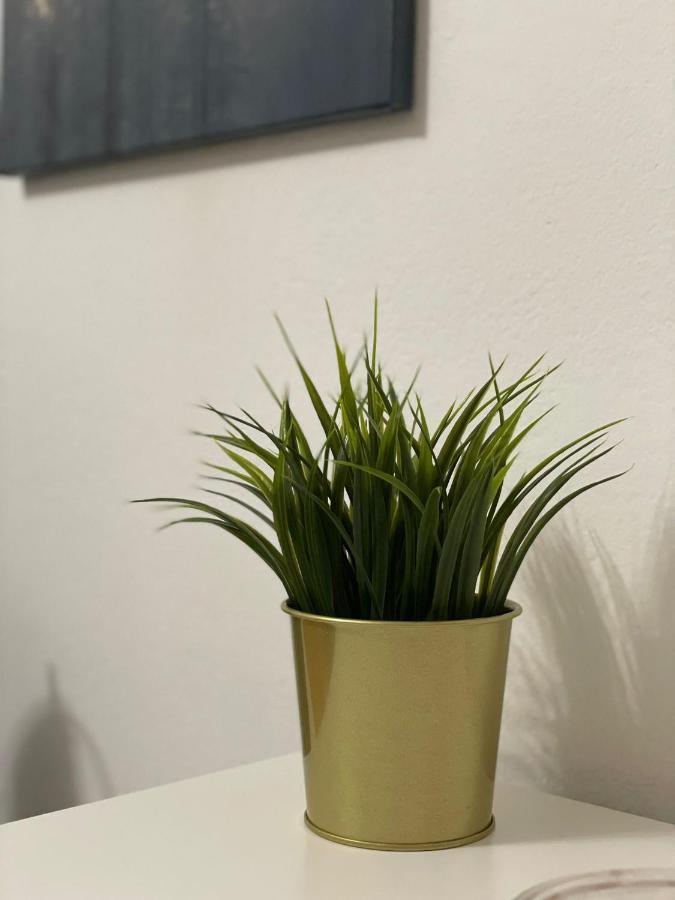 Apartman Casalope Apartment Zagreb Ngoại thất bức ảnh